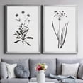 thumbnail image 5 of 2 Piece Set Inky Botanical I Premium Framed Canvas - Ready to Hang - 26.5 x 36.5 Each - Silver Frame, 5 of 8