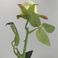 thumbnail image 3 of Nvzi 10 rosas artificiales de tallo largo, rosas de seda falsas para ramo de boda, decoración del hogar (blanco), 3 of 4