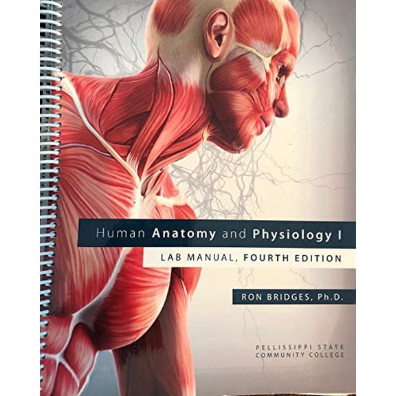 Pre-Owned Human Anatomy and Physiology I: LAB MANUAL, FOURTH EDITION, 9781599846293, 1599846292, Paperback,