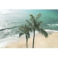 thumbnail image 2 of Carpentieri, Natalie 24x17 Gold Ornate Wood Framed with Double Matting Museum Art Print Titled - Maui Palm, 2 of 4