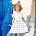 Blue Checkered Rabbit Short Sleeve Dress A-Line Cute Midi Casual ...
