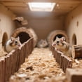 thumbnail image 3 of Natural Wood Hamster Toy Arch Bridge, Chewable Climbing Ladder for Teeth Grinding, Small Pet Hideout Fence for Syrian Hamster, Gerbil, Dwarf Hamster Cage Accessories A, 3 of 7