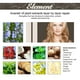 thumbnail image 3 of Productos de crecimiento rápido del cabello esenciales para mujeres Aceites para el tratamiento de la caída del cabello dañado, 3 of 5