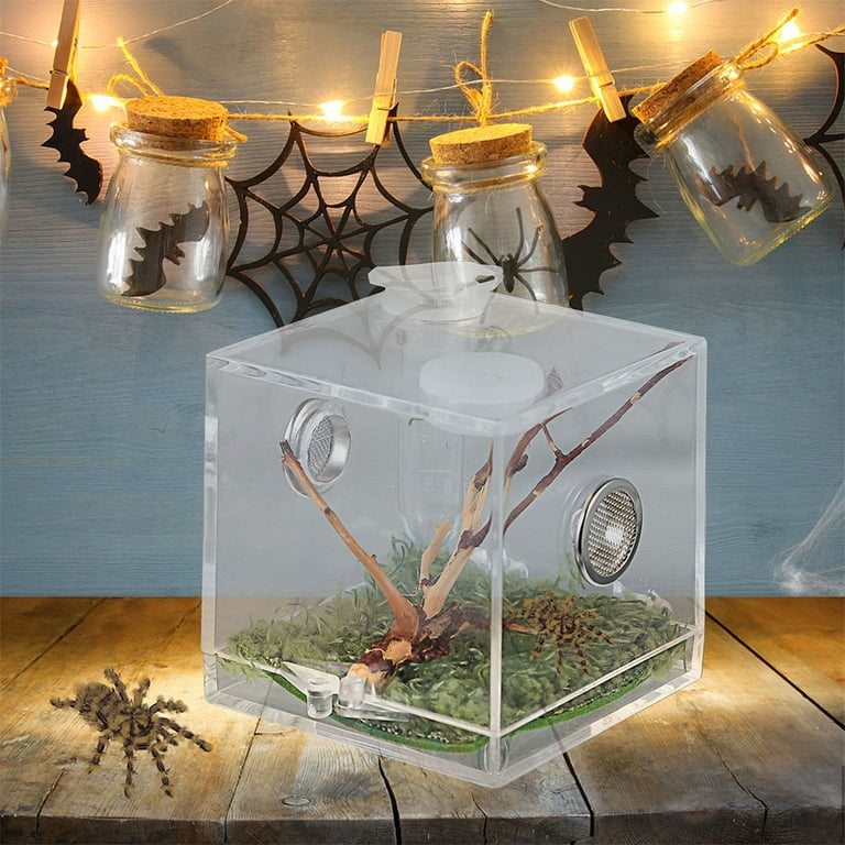 1 Set of Jumping Spider Enclosure Box Spider Habitat Box Acrylic Insects  Feeding Case 