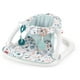 thumbnail image 1 of Asiento de piso Fisher-Price Sit-Me-Up - Pacific Pebble, sil Fisher Price Fisher-Price, 1 of 2