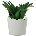 thumbnail image 2 of Mainstays Small 6in Diameter Round White Scallop Ceramic Planter, 2 of 5