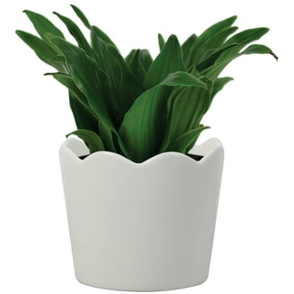 Mainstays Green Leaves Ceramic Planter 5.9 inches Diameter Indoor