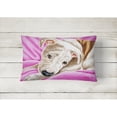 thumbnail image 2 of Carolines Treasures AMB1413PW1216 Dream Girl Pit Bull Fabric Decorative Pillow 12H x16W multicolor, 2 of 3