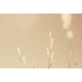 thumbnail image 3 of Larson, Nathan 24x17 Black Modern Framed Museum Art Print Titled - Lakeside Grasses I, 3 of 5