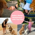 thumbnail image 6 of Pupford Freeze Dried Training Treats for Dogs & Puppies (Salmon, 4 oz), 6 of 8