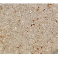 thumbnail image 5 of Sitz Bath Salt - Epsom Salt, Sea Salt, Himalayan Pink Salt with Healing Essential Oils of Chamomile, Lavender, Rosemary, Frankincense, Ginger, Lemon  Eucalyptus., 5 of 5