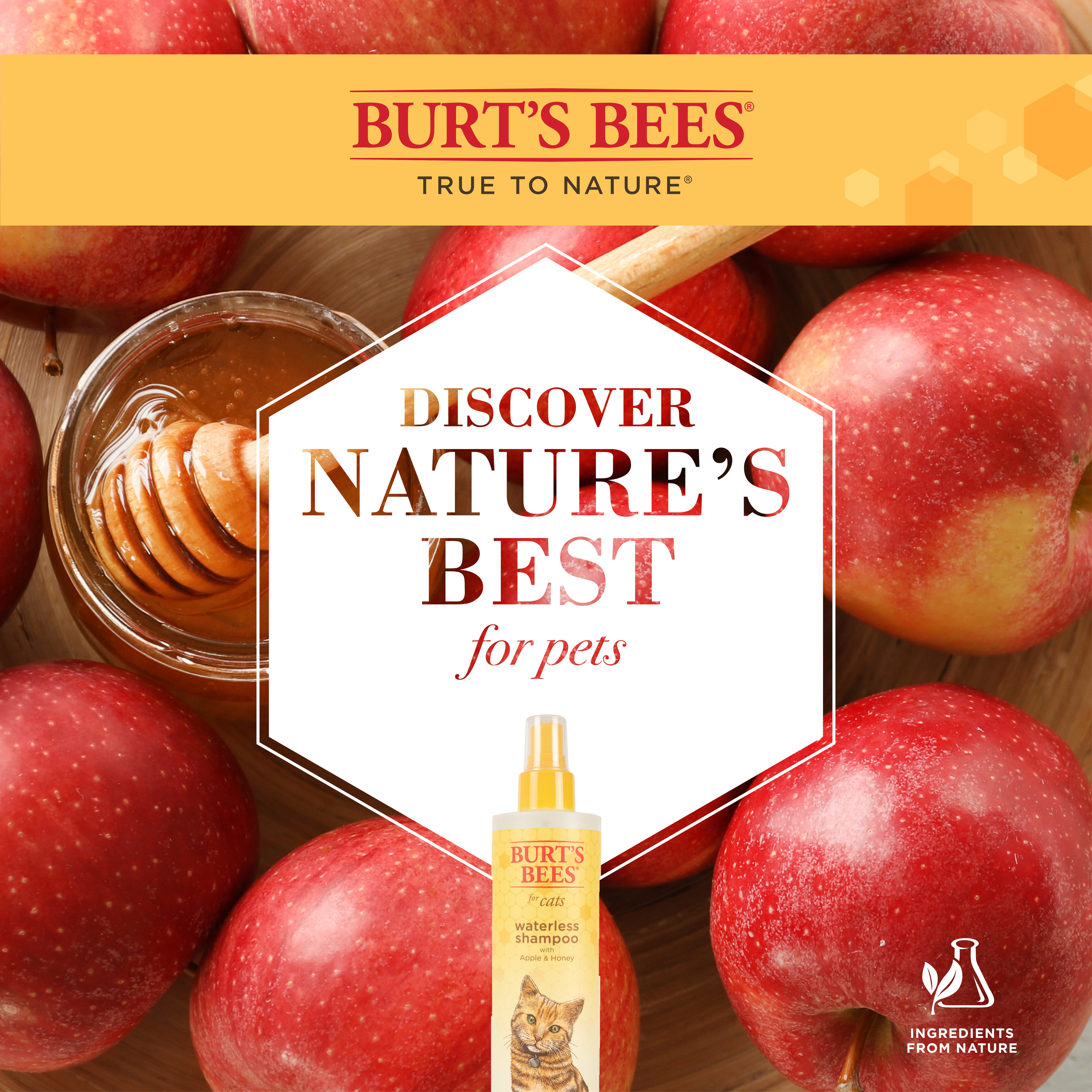 Burt's Bees Natural Cat Care Waterless Dry Shampoo with Shea Butter & Honey for Cats10 oz Spray