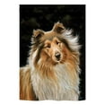 thumbnail image 2 of Breeze Decor 60075 Pets Collie 2-Sided Impression Garden Flag - 13 x 18.5 in., 2 of 2