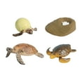 thumbnail image 2 of Juguetes de tortuga de ciclo de vida CUTICAT Conjunto tortuga marina, 2 of 8