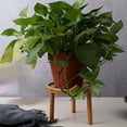 thumbnail image 2 of Wooden Flower Pot Stool, Perfect For Your Indoor Garden, Endurable Materials Ensure Longevity, Solid Wood Stool With Stable Support For Any Room, 2 of 5