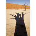thumbnail image 2 of Kaveney, Wendy 13x18 Black Ornate Wood Framed with Double Matting Museum Art Print Titled - Namibia, Sossusvlei Dead tree casts shadow, 2 of 4