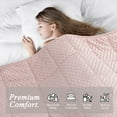 thumbnail image 2 of ALANSMA Reversible Weighted Blanket for All Season, Warm and Cool, Luxury Minky Velvet, Enjoy Sleeping Anywhere(Pink,15Lb), 2 of 4