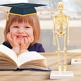 thumbnail image 2 of Rvidsgi Skeleton Model Practical Ability Smooth Plastic Biological Science Learning Kit for Kids, 2 of 7