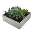 thumbnail image 3 of Artificial Succulent Plant Garden in Wooden Box, 3 of 3