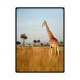 thumbnail image 1 of RYLABLUE Giraffe In Grassland Fleece Blanket Throw Blanket 58x80 inches, 1 of 1