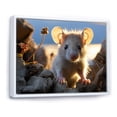thumbnail image 2 of Designart "Rodent Portrait White Cute wall art I" Animals Floater Framed Wall Art Living Room, 2 of 7