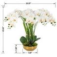 thumbnail image 4 of Vanity Art 23.62" H Artificial Orchid Arrangement in Gold-plated Ceramics Vase, 4 of 6
