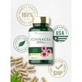 thumbnail image 6 of Echinacea Capsules 650mg | 120 Count | Non-GMO & Gluten Free Supplement | By Carlyle, 6 of 8