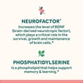 thumbnail image 4 of Suplemento cerebral: gomitas NEURIVA Memory & Focus, 4 of 5