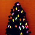 thumbnail image 5 of Accesorios de Halloween, Luces decorativas de Halloween, Cadena de luces de Halloween a pilas con control remoto, 5 metros, 20 luces, Multicolor, 5 of 5