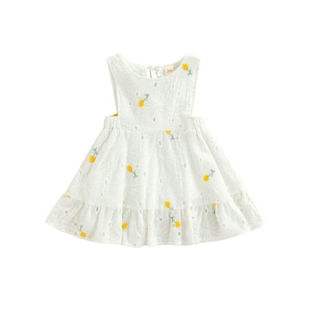 

Bebiullo Infant Toddler Baby Girl Summer Outfits Sleeveless Lace Flower Embroidery A-line Dress Princess Party Birthday Dresses Sundress White 2-3 Years