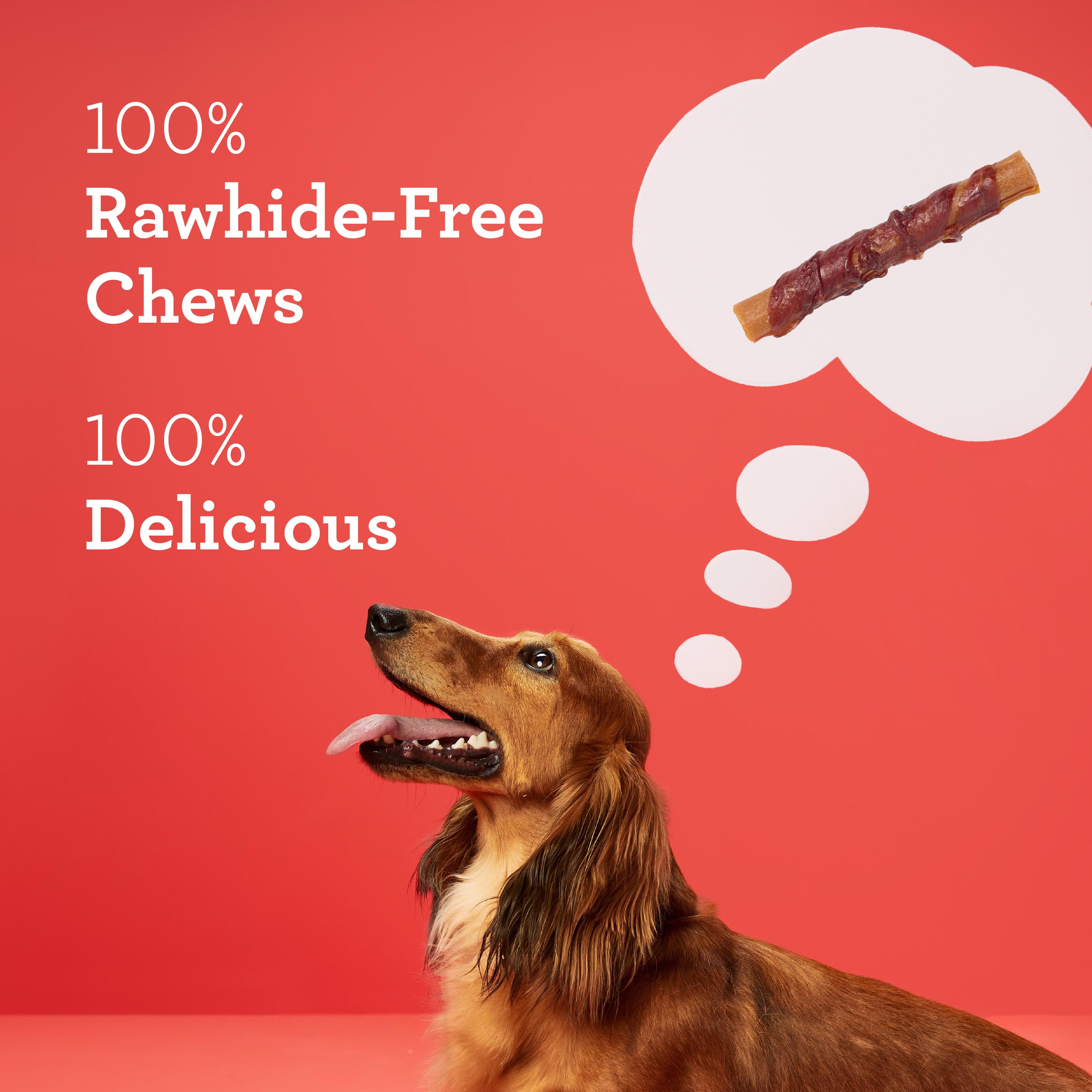DreamBone High Protein Rolls for Dogs, Rawhide-Free Chews with Water Buffalo and Chicken, 10 Count