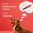 thumbnail image 4 of (7 pack) DreamBone High Protein Rolls for Dogs, Rawhide-Free Chews with Water Buffalo and Chicken, 10 Count, 4 of 11