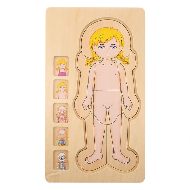 Juguete de ladrillos multicapa, juguete de ladrillos con estructura de cuerpo humano de madera, juguete de ladrillos con estructura de cuerpo humano, máxima comodidad