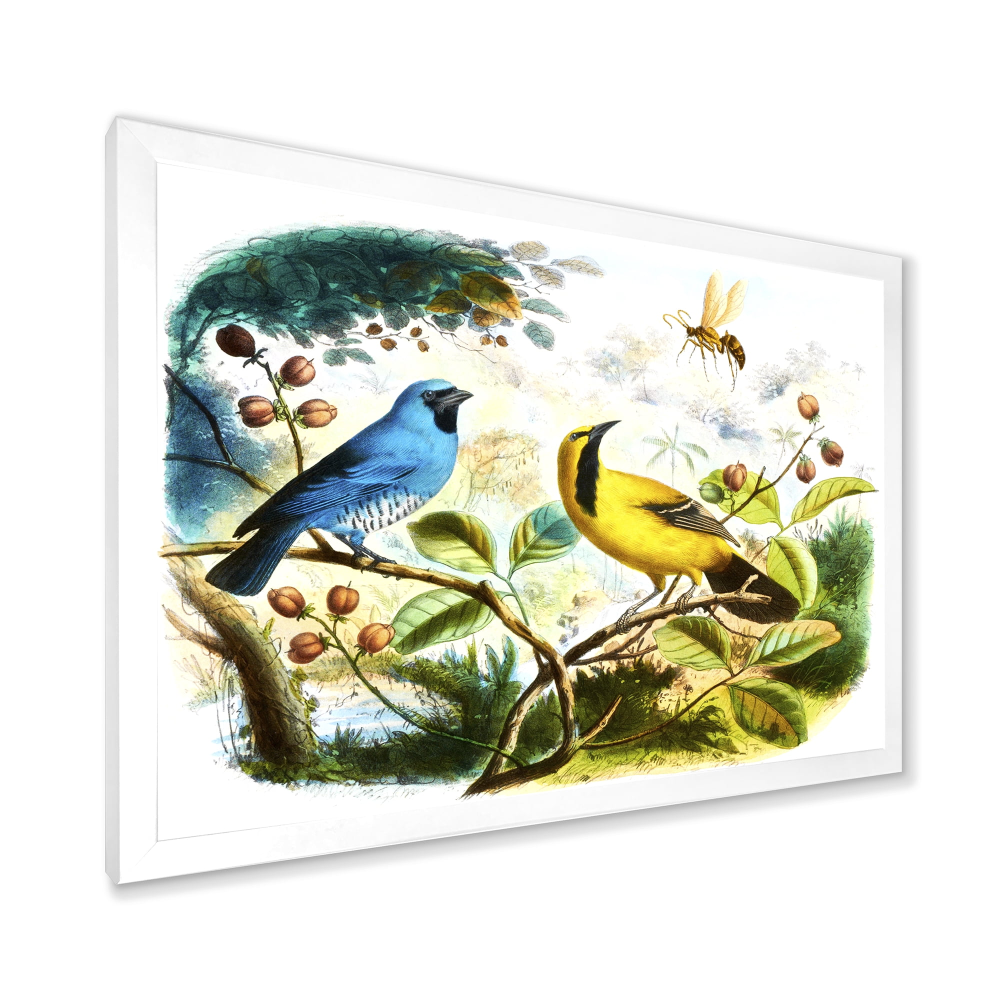 Designart 'Yellow and Blue Bird In The Wild' Traditional Framed Art Print