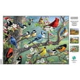 thumbnail image 3 of Buffalo Games - Hautman Brothers - Birds in an Orchard - 1000 Piece Jigsaw Puzzle, 3 of 6