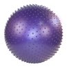 Purple Massage Ball With Pump