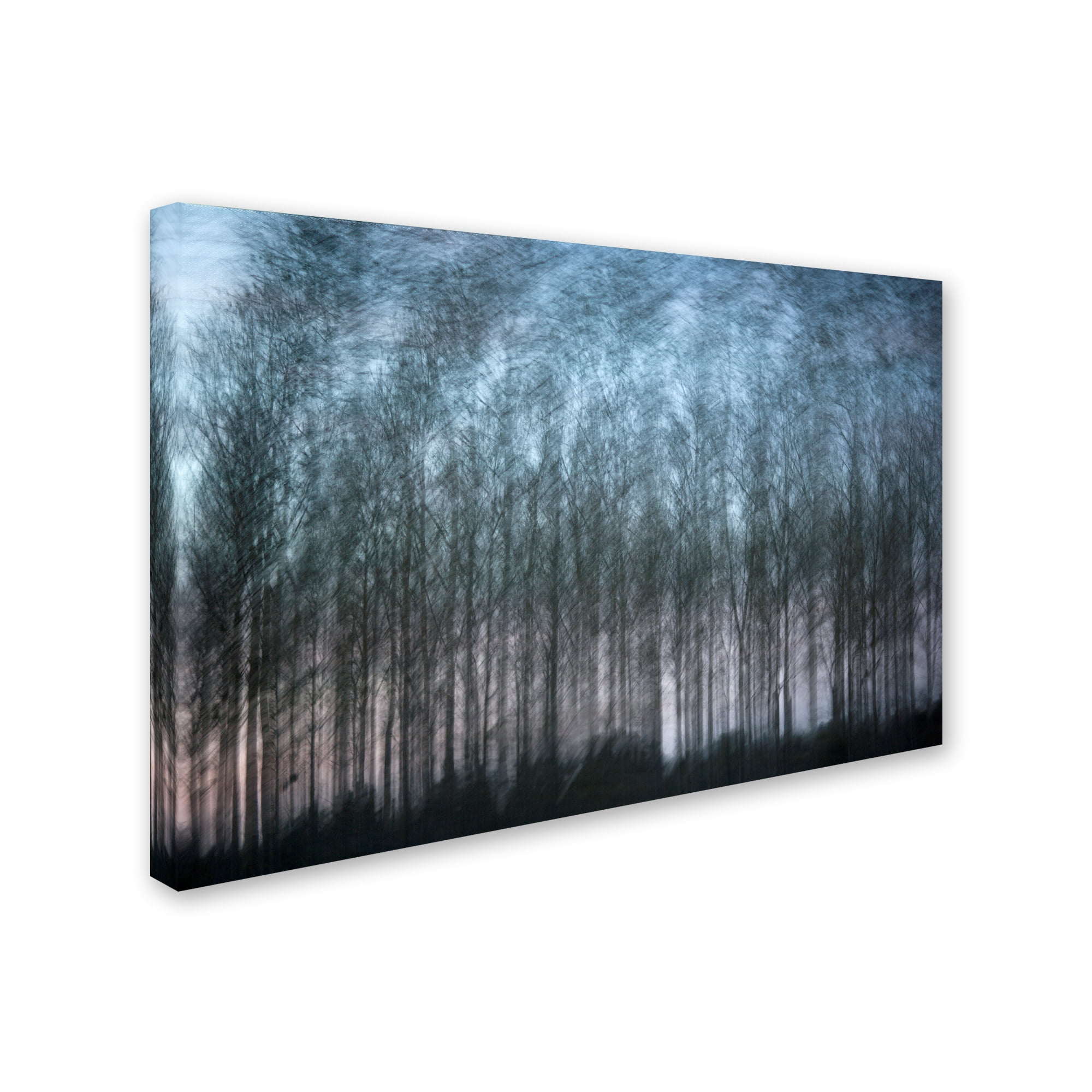 Trademark Fine Art 'Verschrankung' Canvas Art by Geoffrey Ansel Agrons