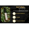 thumbnail image 2 of BASK & LATHER Lash Serum with Castor Oil & Jojoba Oil For Thicker, Fuller & Longer Looking Eyelashes and Eyebrows, Conditioning and Enhancing Eyelash Serum with Brush Applicator, 3 Month Supply, 2 of 5