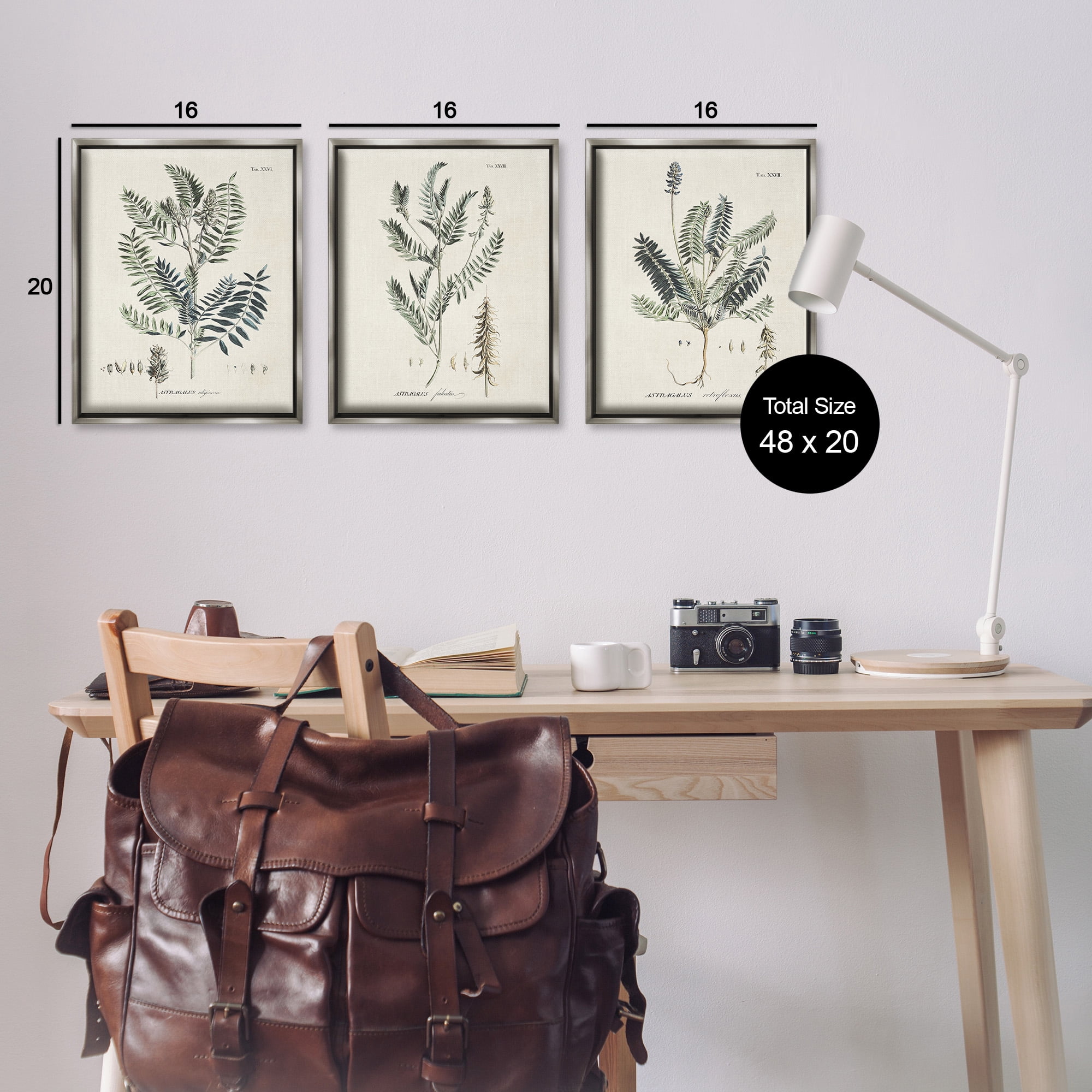Stupell Industries Green Botanical Latin Study Botanical & Floral Drawing Gray Floater Framed Canvas Art Print Wall Art, 17 x 21, Set of 3