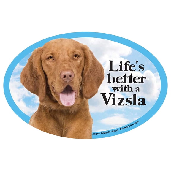 Vizsla Oval Dog Magnet for Cars (and fridges too!)