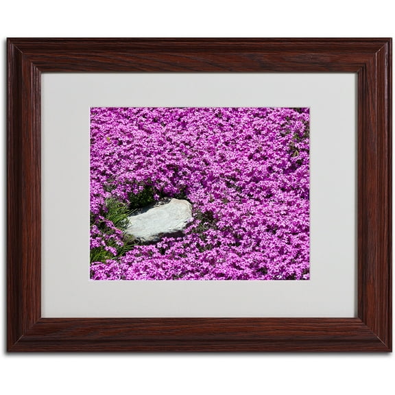 Trademark Fine Art "Island in Purple" by Kurt Shaffer, Wood Frame