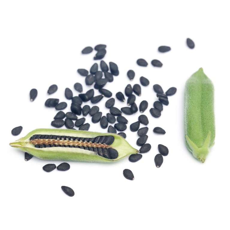 1500 Black SESAME Sesamum Indicum Vegetable Flower Seeds