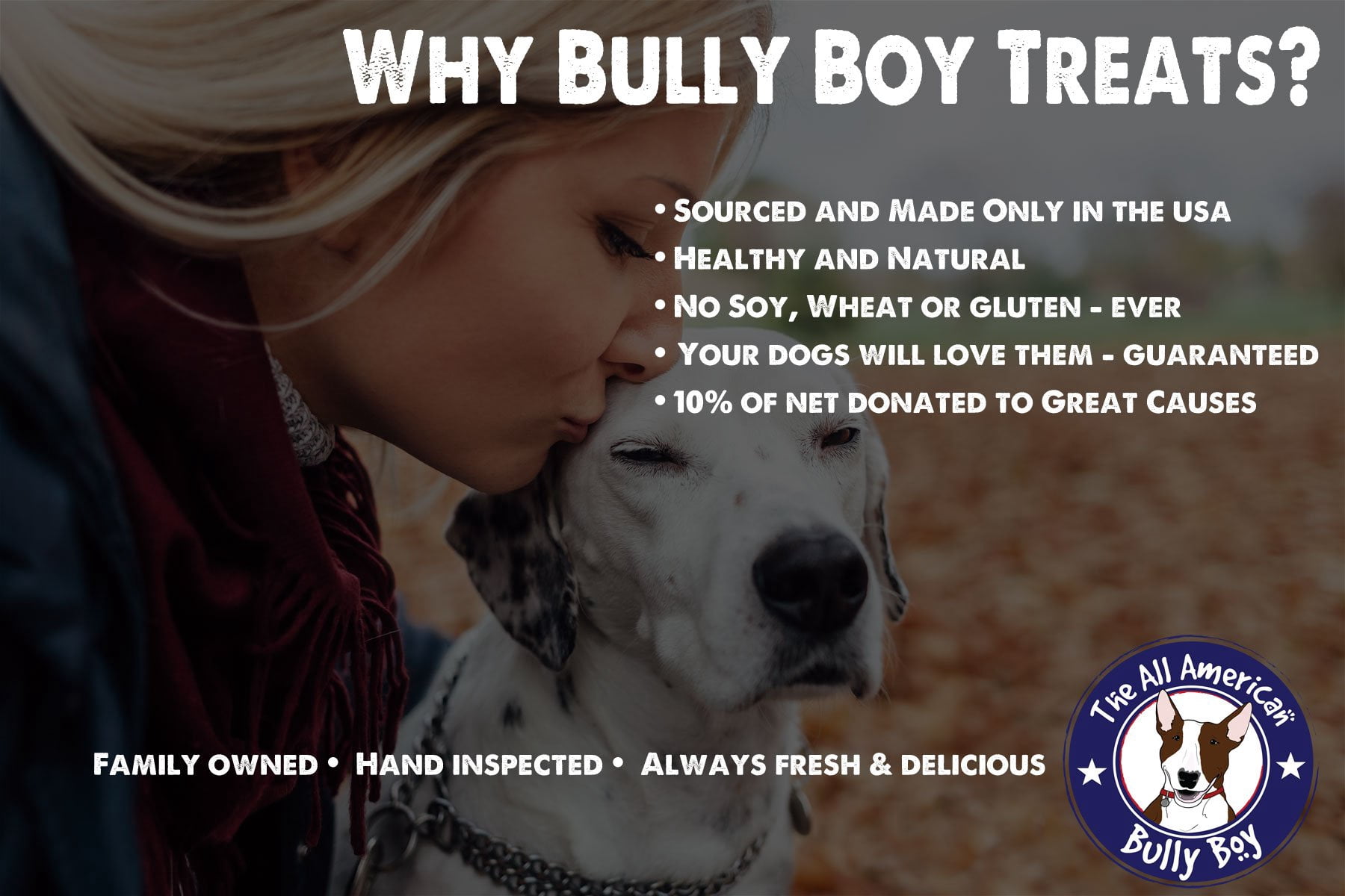 Bully Boy Pets USA Made Smoked Gourmet Dog Jerky Treat 12oz Chicken Sticks (Pack of 13)
