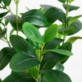 thumbnail image 3 of Nearly Natural Potted Audrey Ficus Artificial Tree - 4' - Unlit, 3 of 8