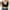 Black, variant on Womens Comfortable Bras Wireless Deep V Neck Bra Full Coverage Bralettes Seamless Tshirts Bras Push Up Bras