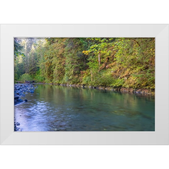 Jaynes Gallery 14x11 White Modern Wood Framed Museum Art Print Titled - USA-Washington State-Olympic National Forest Duckabush River landscape