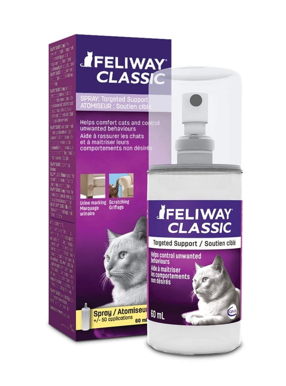 A closer look at Feliway For Cats With Anxiety Caused By Confinement
