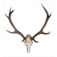thumbnail image 2 of Antlers Duvet Cover Set, Antlers of a Huge Stag Elk Skeleton Big Bone Horn Hunter Style Art Print, Decorative 2 Piece Bedding Set with 1 Pillow Shams, Twin Size, Brown and Beige, by Ambesonne, 2 of 2