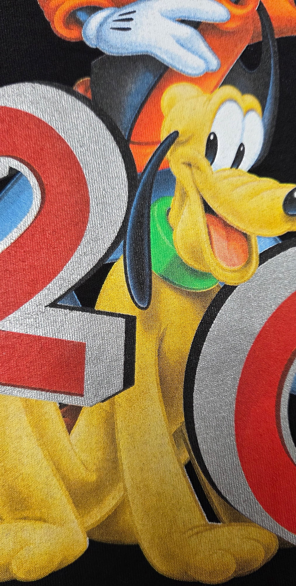 Disney Mickey and Friends 2026 Florida Group Adult Tee Shirt, XS-2XL (Unisex)