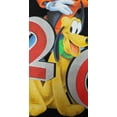 thumbnail image 3 of Disney Mickey and Friends 2026 Florida Group Adult Tee Shirt, XS-2XL (Unisex), 3 of 4